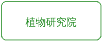 网红主播合作品牌植物研究院
